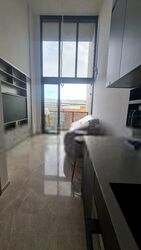 Haus On Handy (D9), Condominium #408081271